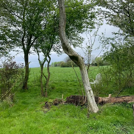 Family With Field Views On Oro